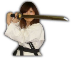 korean sword fighting